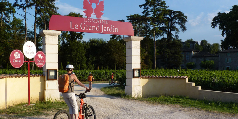 Domaine Le Grand Jardin | Bar à vin, caveau et produits locaux