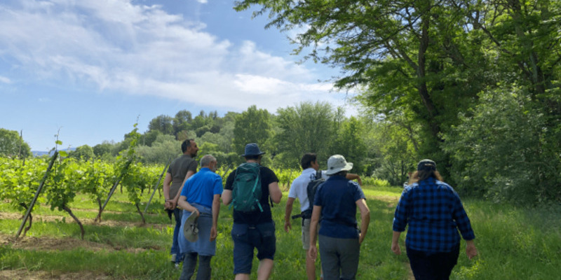 Domaine Le Grand Jardin | Bar à vin, caveau et produits locaux